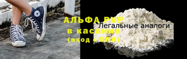 индика Ладушкин