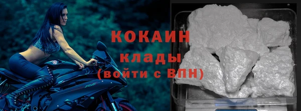 хмурый Магас