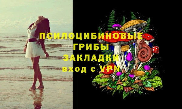 хмурый Магас