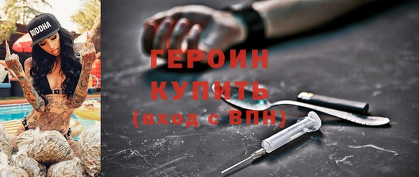 хмурый Магас