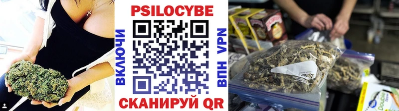 mega ONION  Лысьва  площадка формула  Галлюциногенные грибы Cubensis 