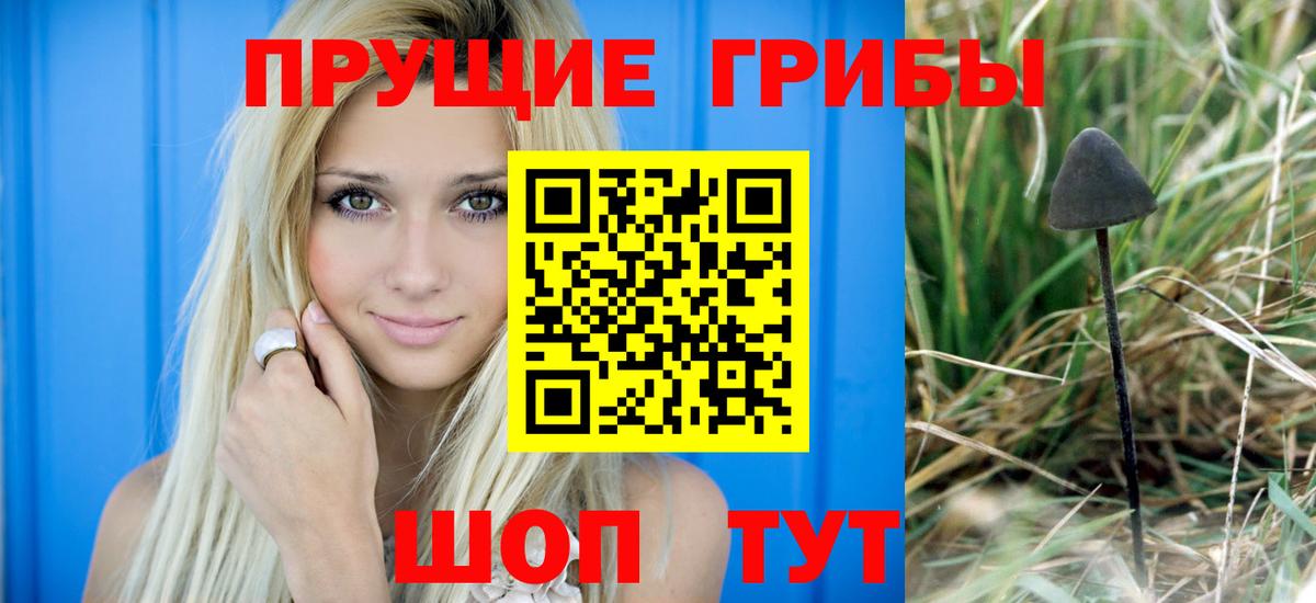 Лысьва  Псилоцибиновые грибы мицелий  Псилоцибиновые грибы GOLDEN TEACHER  Вход с VPN 